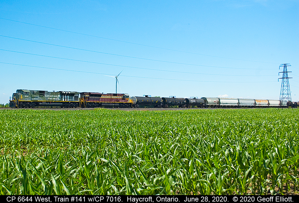 Backlit blues....  CP D-Day unit #6644 leads Heritage Sister 7016 as the power for today's Train #141 as it rolls past the corn fields of Essex County just west of Haycroft, Ontario on June 28, 2020.