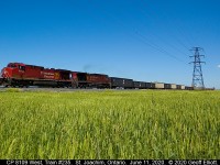 CP 8109 West, Train #235, rolls through the 'Essex County Prairies' as the wheat starts to head out for the 2020 harvest season.  Although nothing special, it was just a nice day to get out and take a shot......  Can't wait for 2020 to be overwith!!