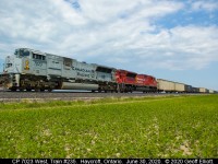 CP train #235 sits quietly between St. Joachim and Haycroft, Ontario on June 30, 2020.  Due to issues at the Norfolk Southern Bridge over the Rouge River in Detroit, all traffic to/from the CP/NS has been stopped all day.  235 sits here with 10K feet of train while a 141 sits in Windsor ahead of him with 9100 feet of train.  With no place to go where they will fit, all they can do is sit.  Also in the mix is a 140 on the U.S. side, west of NS Bridge, with CP 7016 and mid-train DPU 6644.  Just another day of "Precision Railroading" on the CP in 2020!!!