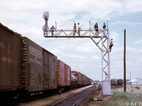 In May 1970, the NMRA Niagara Division had their convention in Chatham Ontario. Some attendees took the opportunity to photograph an eastbound CP freight from the vantage point of one of the signals on the line - a railfan practice that some often did back in the day, but that would be very much frowned upon in present times.
<br><br>
Foreign-road boxcars mixed in the CP train include those for Illinois Central (both in modern orange, and older "Mainline of Mid-America" liveries) and the Evergreen Freight Car Corporation.