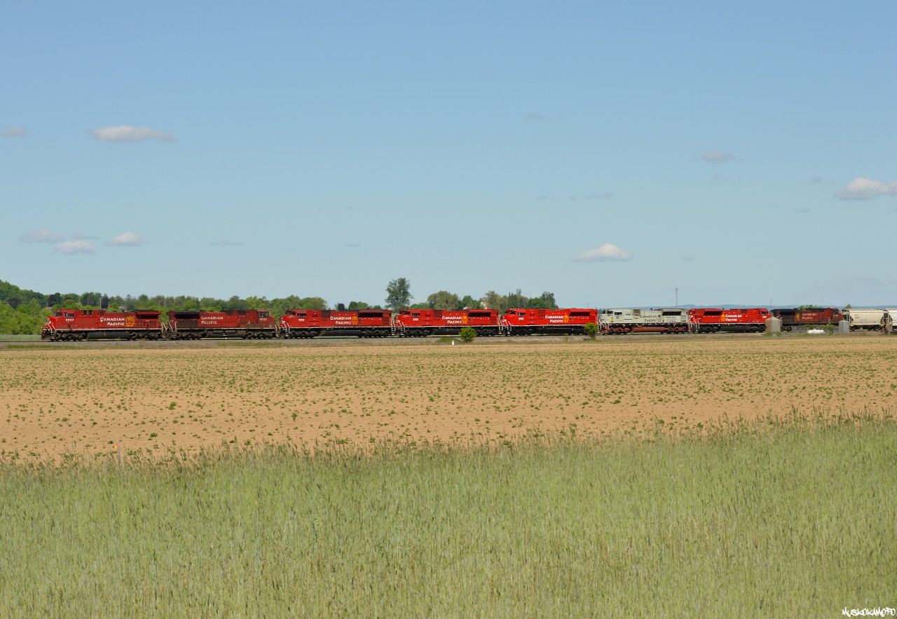 CP 420 seen at South Honda Wye Switch Alliston with a huge consist of 8 engines on the head end, and a 9th working mid-train with a clear shot into Toronto Yard. Included in this lashup are 5 various SD70ACu's including 7022 painted in the Royal Canadian Navy grey scheme, these rebuilds have recently been restricted from service West of Alyth (just as they were when they were still SD9043MAC's!) and have since started to really frequent the Toronto area.