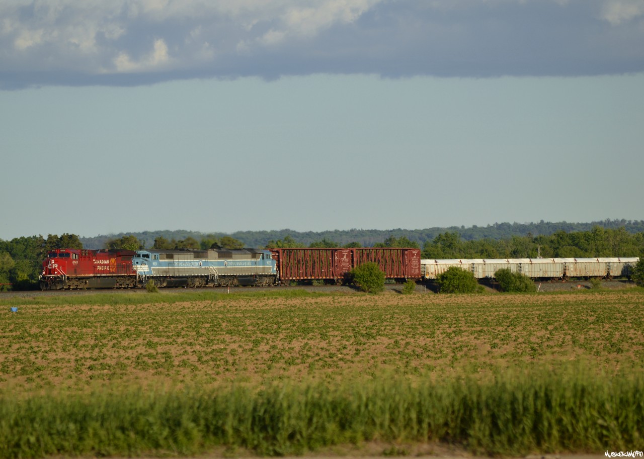 CP 421 has stretched ahead to clear North Yard Switch Spence and start what would turn out to be over 3 hours of work setting off/lifting. Trailing today are 2 CMQ former CP/now CP owned again SD40-2F's, these "Blue Barns" would make it as far as White River before being set off for an ailing train 118 who needed them for power, but dropped them at Smiths Falls apparently for a worktrain assignment. After working into Toronto on an extra 143 last week these 2 seasoned London products have found themselves right back in the power pool they came from!