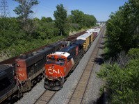 CN 3230 brings up the rear of CN 322 as it passes CN 527 at left. CN 527 is awaiting its signal to get into Taschereau Yard, while CN 322 has just left the yard after setting off all the cars that were behind the DPU. CN 322 will terminate at Southwark Yard, about a dozen miles from here.