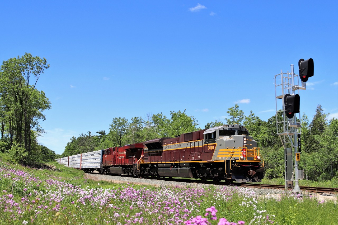 With the wildflowers in full bloom, CP 246 with heritage unit CP 7016 rumbles past mile 75.1 on its way southward down the Hamilton sub on a bright beautiful spring afternoon.