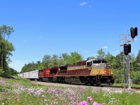 With the wildflowers in full bloom, CP 246 with heritage unit CP 7016 rumbles past mile 75.1 on its way southward down the Hamilton sub on a bright beautiful spring afternoon.