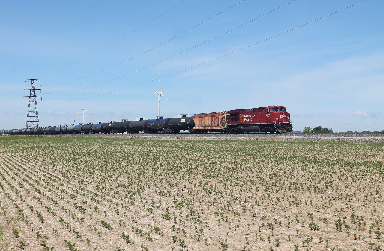 CP 650 passes through the Essex County farmland on its way east.