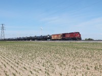 CP 650 passes through the Essex County farmland on its way east. 