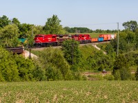 Enjoying a gorgeous June morning, a man pedals his rail bike along the South Simcoe Railway as SD70ACu 7053 charges by overhead with train no. 420 at Beeton, Ontario. Moments before 420's arrival, I found myself day-dreaming of an over/under at this location. I certainly didn't expect to actually get one!