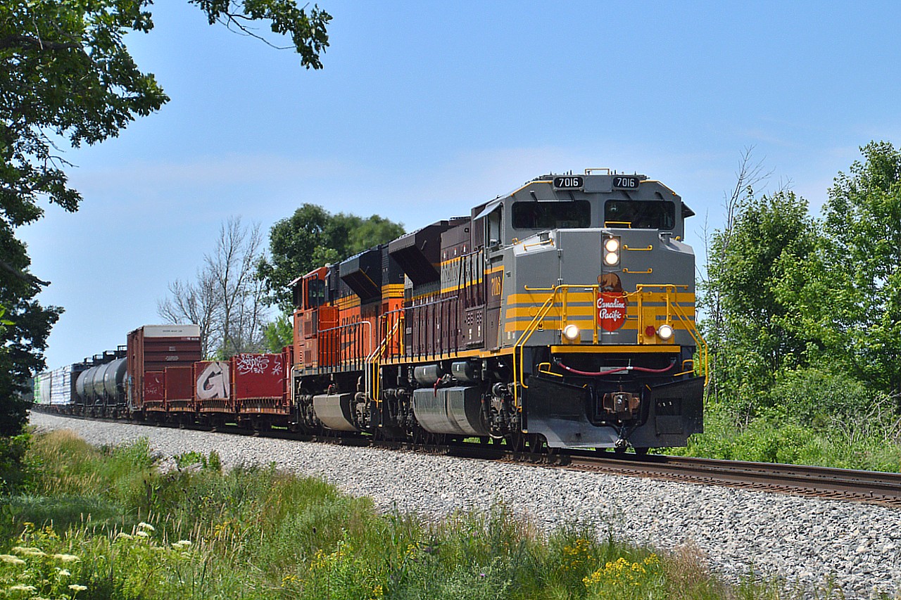 A "rare" offering of something current by me. Kinda liked this, so putting it out there to show I am still alive and kicking trackside. :o)  CP 7016 and BNSF 8446 as #246 southbound to Welland has just moved thru Grassie on a rather warm day........  No doubt lots of fans all over the place for this.