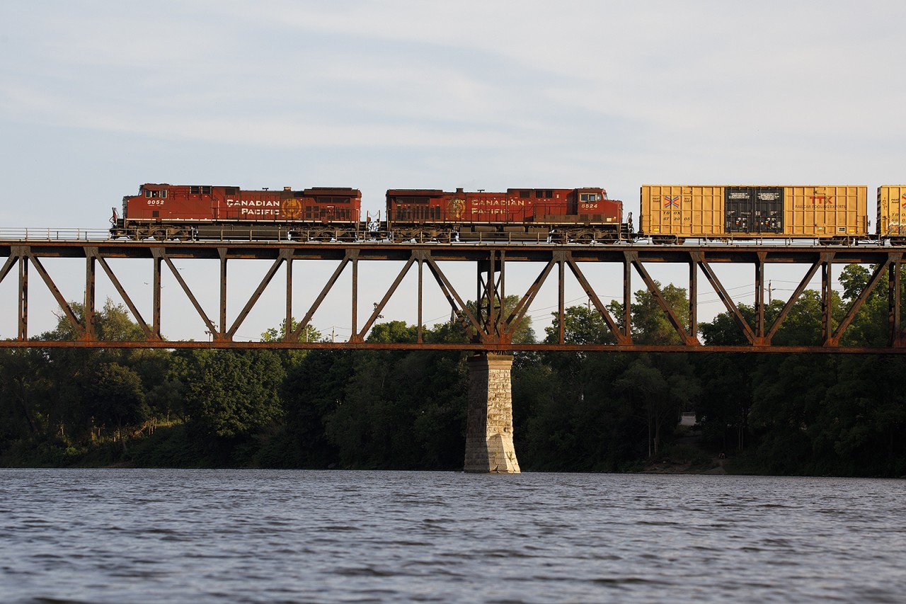 New and old beavers cross the grand River on a beautiful evening.