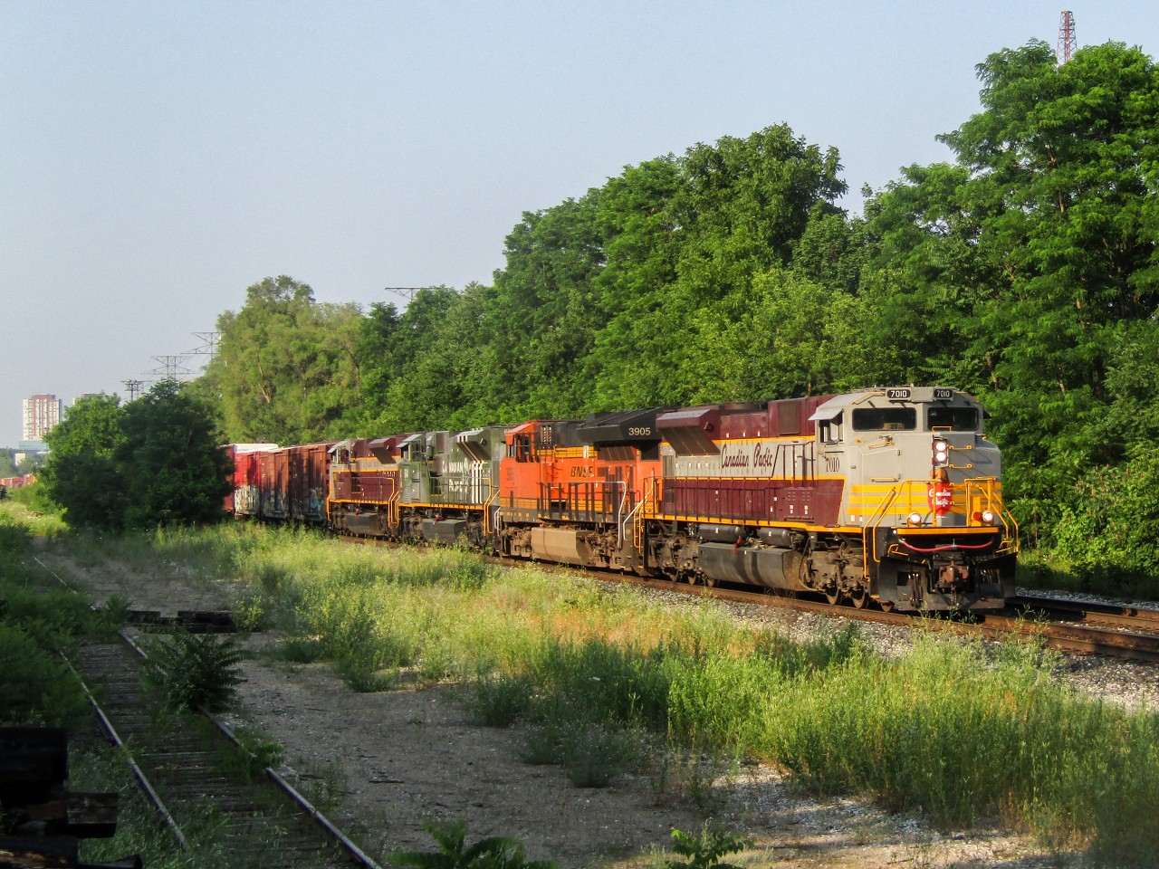 CP 421 blasts through Leaside with an unforgettable consist! CP 7010, CP 6644, and CP 7016 showcase the best that CP has to offer regarding the special paint schemes released on the SD70ACUs. To top it all off; a Tier 4 BNSF Gevo number 3905 makes this consist tick almost every single box in a "dream consist." Well, it isn't dreaming anymore...

For further breakdown:
CP 7010- Heritage scheme "script" lettering
CP 6644- Military D-day commemorative "spitfire" replica scheme
CP 7016- Heritsge scheme "block" lettering
And of course BNSF 3905- Tier 4 Gevo