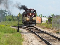 181 approaches the switch stand between the GJR South Spur and the CN N Guelph Spur as it pulls a cut of hoppers up the dip from PDI Industries and Traxxside on a hazy hot day. MLW smoke always included 