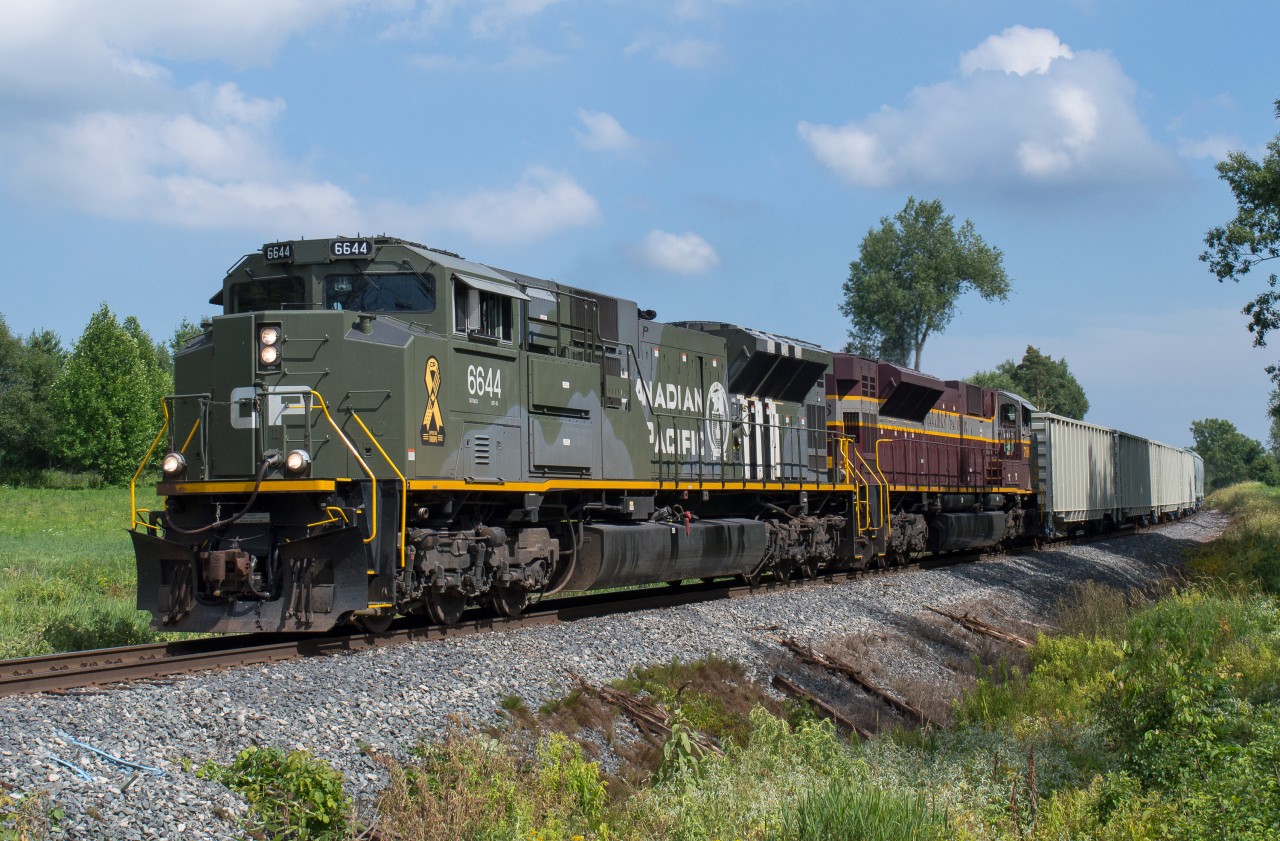 CP 6644 and CP 7016 lead train 247 towards Concession 7 in Waterdown amid what seemed to be one of the few sunny spots of the afternoon.