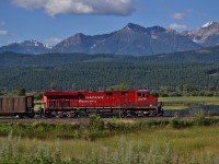 CP 8874 leads a coal train bound for Golden, its a shame this line doesnt see more traffic. However talking to a few locals, the line being rather quiet in the 90's has picked up substantially in the recent years. 