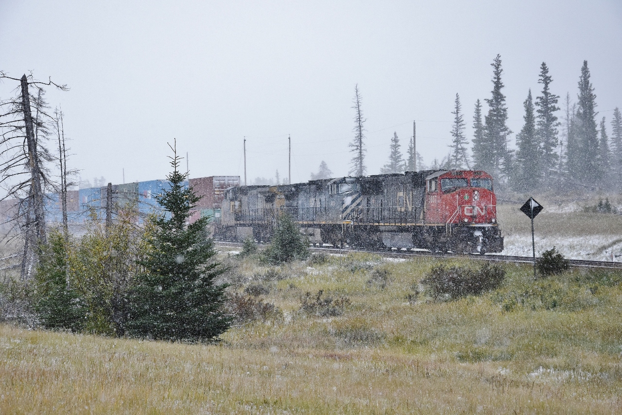 September Snow.


  …. for Arnold... ( &  everyone else )


 CN 5607 east is 'in the hole' – so to speak – at Henry House due to track work on the single main east of mile 225.8  Edson Subdivision


 CN#5607  /  BCR#4653  /  CSX#7676   has one of the Q 100 series intermodal  Quality Service 'hot shot' in tow 


 at 14:38 September 12, 2018 Digital by S.Danko, near Henry House, Alberta


  what's interesting


 for those who need to know :   SD70 (GMD 1995)  /  DASH-44CW (GE 2000)   /  DASH-40CW (GE 1991)  


  that SD70 is good for 70 m.p.h.; the GE are limited to 65 m.p.h.


  more S S


  September White Out    


 sdfourty