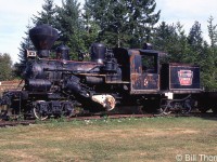 Hillcrest Lumber Company 9 is a standard-gauge two-truck "Climax" steam locomotive built in 1915. It operated for half a dozen different lumber companies, eventually being acquired by the British Columbia Forest Museum Park from Hillcrest Lumber in 1965.
<br><br>
The Climax design is a geared steam locomotive featuring two angled side cylinders that power driveshafts underneath leading to the front and rear trucks. Geared steam locomotives like the Climax and Shay designs were better suited for the steep grades and curves found on logging operations than standard steam locomotives.