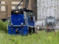 I honestly have not been to the old landmark Robin Hood elevator since the early years of Trillium Railway. Back then it was pretty much off limits and I knew little about the public trail close by. The last time I was here the train was powered by an Alco C425. This day so many years later former Seaboard Coast Line SW1500 4009, now GMTX 340 was called to work the industries around town. Set out mainly to photograph what I could of the huge elevator, I was happy to see it once again up and running now owned by Ceres. Long ago giving up flour shipments for grain. As luck would have it several minutes after arriving at the elevator, a horn could be heard not to far away. Soon the end cab switcher arrived, dropped off one new hopper before leaving as light power. The unit can be seen here making its way through the weeds after locking the gate and heading back to the main. 
