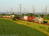 Who's koo koo crazy to get up at 0530 to shoot a train here at some ungodly morning hour? Me. The sun has barely had 20 minutes to warm the ground and I am standing on the side of the Trafalgar rd overpass to get under the wires and the time is 0638. Years ago we had a grade crossing at Trafalgar and I shot <a href=http://www.railpictures.ca/?attachment_id=9971 target=blank> CP's Business train </a> but from ground level. But why did I put the sleepless effort into this? Truth is a few days ago during my 2 week vacation I got up early to shoot 7023 leading a 234  and it ended up not leading.. so this is redemption and why I had to get up early - now I can strike this military unit off my TODO list and strike the thought of getting up early for it next time it happens, I much prefer a little more sleep in my life :) At least the light is as good as it gets!
