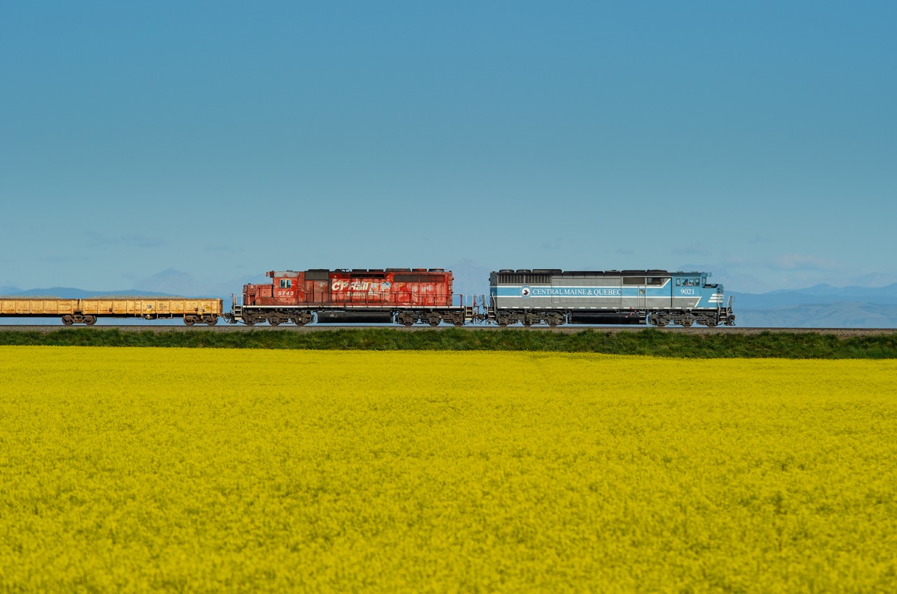 CMQ SD40-2F 9021 and CP SD40-2 5743 lead a ballast train north on the Aldersyde Sub passing one of the many canola fields in the area.