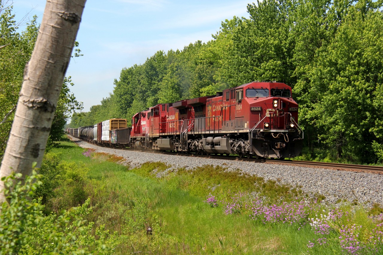 CP 246 descends the Hamilton Sub towards Hamilton with two GEs numbered 8524 and 8143, and a GP38 No. 3045 to be dropped for the Hamilton local job. I wanted to get some trains on my birthday, even though in a few days from this shot, the ACU rush would begin. CP 246 is a great train for its reliability, but lighting, not so great. Since it's typically an early afternoon train into Hamilton, high sun makes for challenging photography. So, I took advantage of the surrounding landscape to create a naturalistic scene.