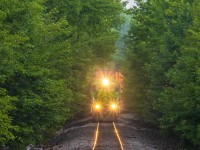 NBSR 6319 leads a Canadian Pacific stack train, as they approach Blissville, New Brunswick, heading along a nice cut of trees. 