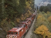 CP 9008 is westbound with the 6003 5978 5171 and 5707 trailing as they approach the village of Spuzzum on CPs Cascade Sub. This shot was taken from the Alexandria Bridge which crosses the Fraser River and both CP and CN lines at this location. This shot is no longer possible. The trees have grown up and over the tracks creating a tunnel effect. Mid train RCUs this day were CP 6057 and 5942.