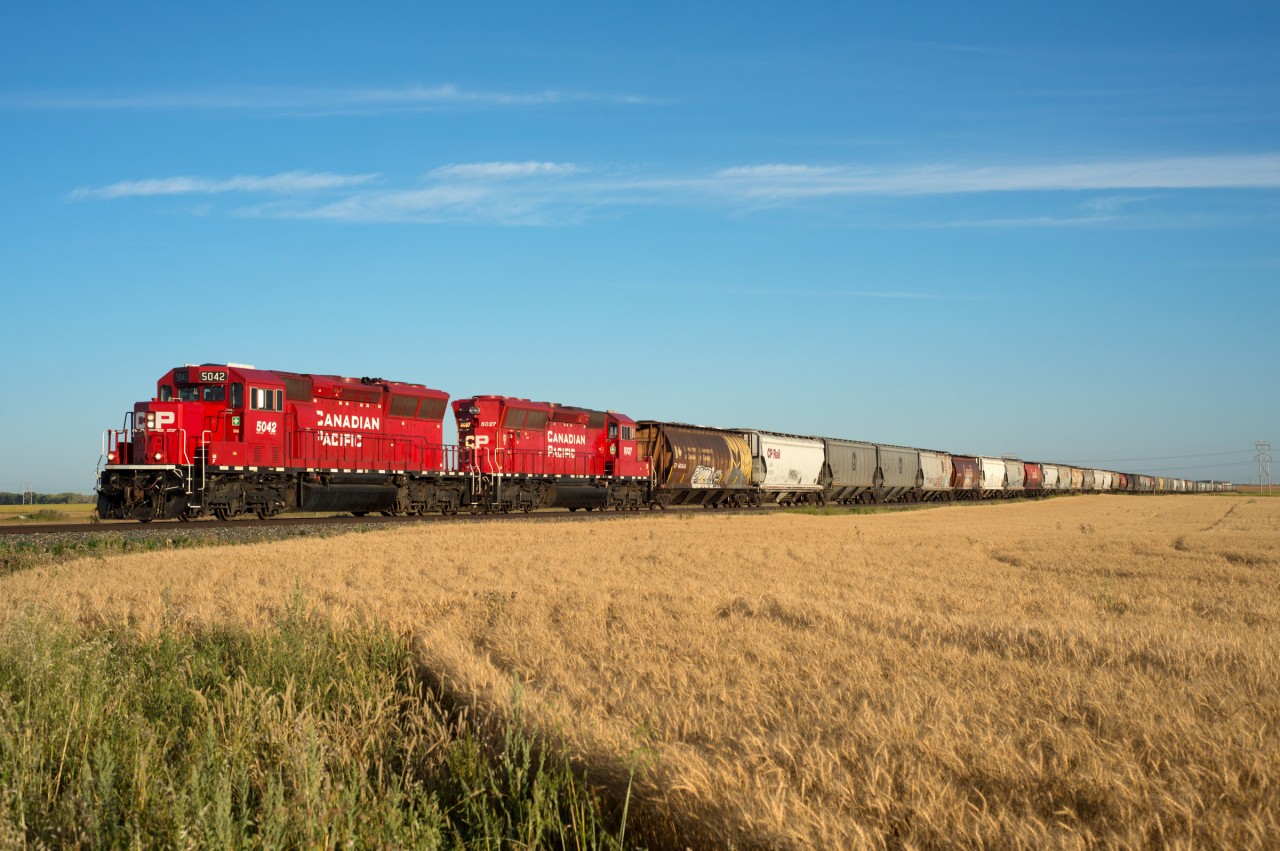 A shiny clean pair of SD30ECOs  lead northbound grain empty up the Lanigan Sub at dusk. 