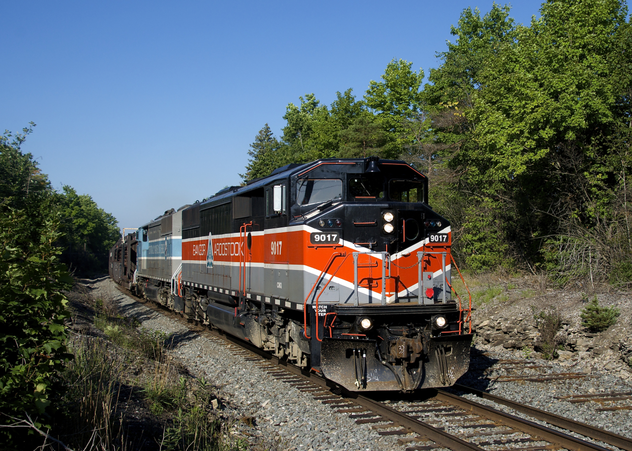 CMQ 9017 & CMQ 9011 are assigned to work train duty as they approach a spot where they will stop for nearly two hours to lift rail. As can be seen at right, the north track of CP's Winchester Sub has been lifted, as the line gets converted from double track ABS to single track CTC. It is rumoured that the rail lifted here will be sent to the CP's ex-CMQ lines out east.