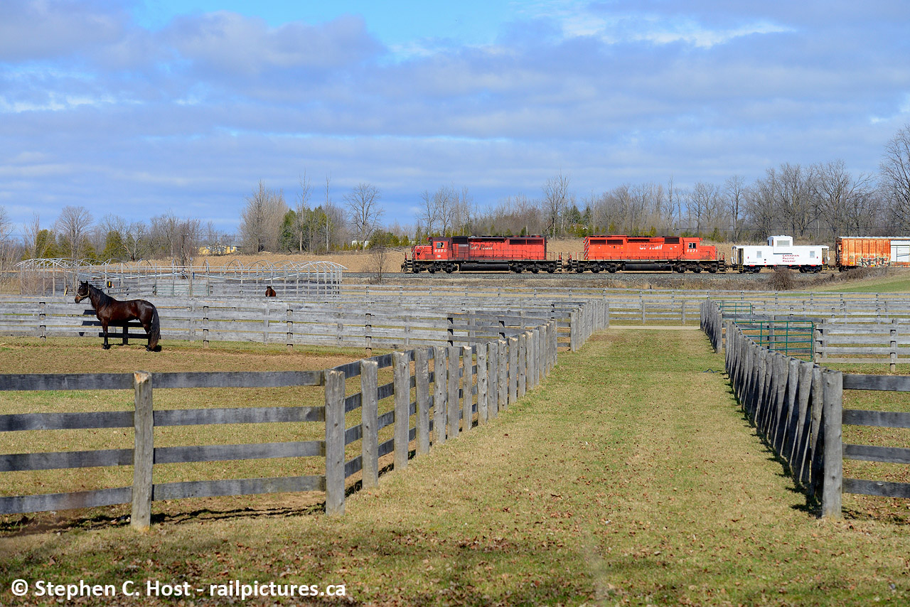 Horsepower passing horses as a rail train charges west toward Galt and the CPR Waterloo sub. The crew will drop their last strands before heading back to Toronto, a weeks worth of work finally completed. The SD's would be swapped out for a couple 4 axle units as the Waterloo sub is 6 axle restricted beyond yard limits.