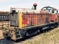 Wisconsin Central (WC) SW8 900, which was former Algoma Central Railway (ACR) 140 is seen sitting in WC's  Sault Ste. Marie yard. Earlier that year on January 31, WC had acquired the ACR and all of it's locomotives. The SW8 was built by General Motors in December 1951 and was only ever renumbered by WC as well as given WC logo crests as seen in the photo, never receiving a full repainting. It was eventually sold to Independent Locomotive Service and was given an extended career operating as ILSX 900. 
<br>
Rob Smith took this photo a month prior at the same location showing the other side of the unit. <ahref=http://www.railpictures.ca/linkphoto>HERE</a>
