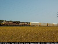 Not quite a matched set, but a 'nice pair' to say the least.  CP Train #235 sports 2 Heritage units today with 7019 in Block Lettering and 7013 in Script.  The turning Soyabeans show that Fall is here and with the units it almost looks like 1965 all over again.