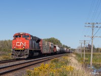 CN 305 comes through Mile 119 around station sign Brockem, with 8014 taking the lead, and 2190 serving as the DPU hauling freight, from Moncton NB-Toronto Mac Yard ON.
