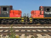 The classy duo of CN GP9RM’s 7071 and 7025 are viewed cab-to-cab as L540 switches the east end of the yard in Kitchener, Ontario on the Guelph Subdivision. September 21, 2019.