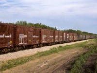 I was having a look through the slide collection and found this beauty. I previously posted a photo of GMD-1's pulling a long string of grain boxes up this hill. The boxes here are lead by the 4607 (still in NAR paint) and the 4267. They are hauling a somewhat longer train. The units have gone 10 to 15 car lengths past me and there is no sign of the caboose way down at the corner in the photo. In my GMD-1 picture, the caboose had entered that far corner by this time. Doing a quick measure on Google Earth, there is approx. 1.3km of box cars in this photo. That's a lot of peddling the boys will be doing tonight. Time of photo is early evening.