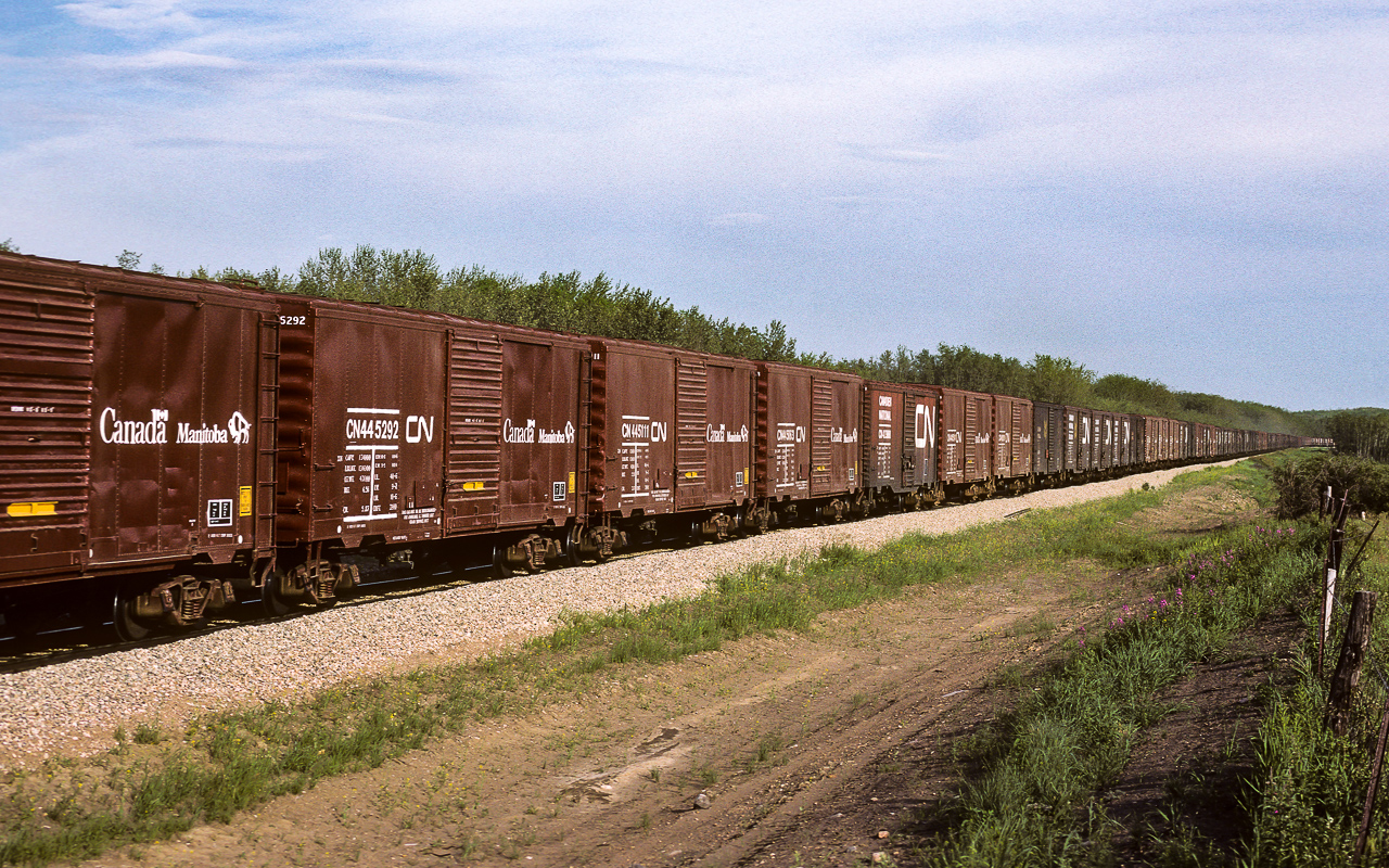 I was having a look through the slide collection and found this beauty. I previously posted a photo of GMD-1's pulling a long string of grain boxes up this hill. The boxes here are lead by the 4607 (still in NAR paint) and the 4267. They are hauling a somewhat longer train. The units have gone 10 to 15 car lengths past me and there is no sign of the caboose way down at the corner in the photo. In my GMD-1 picture, the caboose had entered that far corner by this time. Doing a quick measure on Google Earth, there is approx. 1.3km of box cars in this photo. That's a lot of peddling the boys will be doing tonight. Time of photo is early evening.