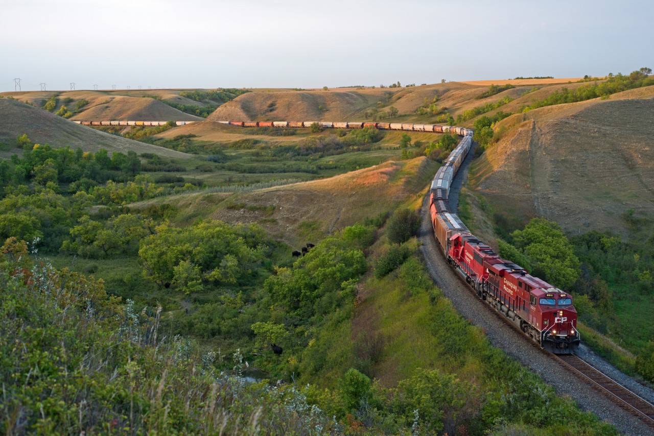 CP 8911 and 6246 are down to a walking pace as they ascend the heavy grade at Craven in the final rays of daylight.