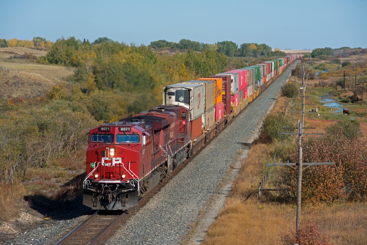 CP hotshot flagship train 101 is seen making great time just east of Mortlach SK on a pleasant fall day.