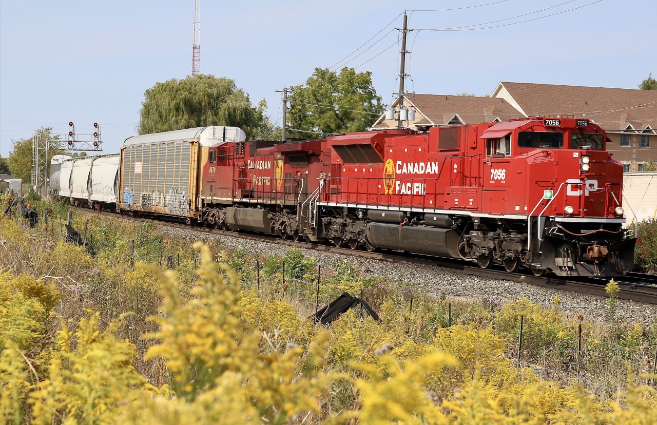 Golden rod and a set of golden beavers seems appropriate for the first day of autumn, as CP train 247 coasts through Streetsville with units displaying the new and old beaver shields.
