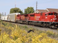 Golden rod and a set of golden beavers seems appropriate for the first day of autumn, as CP train 247 coasts through Streetsville with units displaying the new and old beaver shields. 