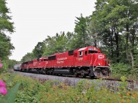 I do like to get myself in to the weeds lately and this location is no exception. Wild flowers, raspberry canes, vines, fallen trees and bees abound. It was worth it to get CP 254 with the all GMD consist of CP 6248, CP 6236 and CP 5012 as they slowly accelerate out of Campbellville southward down the Hamilton sub.