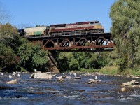 Sometimes it's hard to believe this location is so close to Mississauga's city centre. Usually either the sound of rushing water or rushing grain from the Ardent mill on the hillside cover any other sounds other then nature. A PD day for my boys and a couple hours to spare for myself found us making the hike along the Credit River in Streetsville, knowing an eastbound was lined and assuming it was 234 we thought we would try a different angle. You can imagine my boys excitement as heritage painted 7014 entered the shot leading ethanol train 650, sending a group of turkey vultures to the air off the bridge. The seagulls couldn't have cared less, LoL.