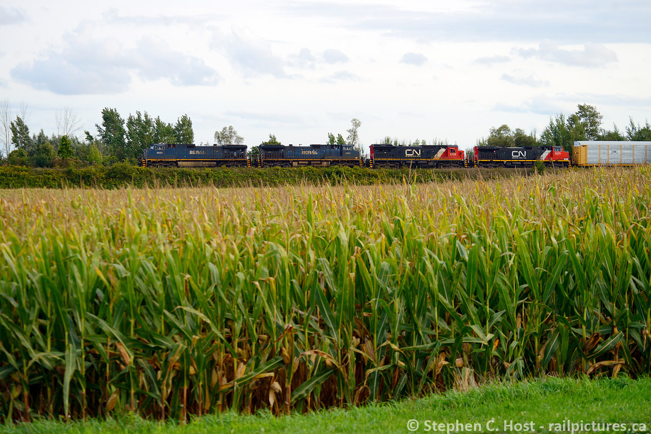 Nearing Paris, 434 is showing no signs of slowing down with BCOL 4650 and 4651 in the lead. Currently on train 303 heading west, I hope some of you  western folks can get this in better light than I did. I'd love to do better some day, but if I do i'm buying a lottery ticket!