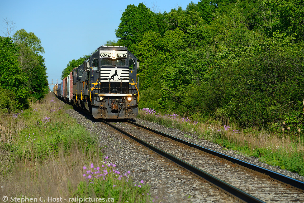 A late spring evening with purple wildflowers along the former CNR Cayuga subdivision, where the  Wabash , N&W, and Norfolk Southern  had rights for over 109 years. This is the last of the Wabash in Canada, and as James Knott alluded, it is getting harder to see the daily Buffalo-Fort Erie transfer switching the west end of the yard to perform their daily setoff.

So the conversation over the Radio on this June evening was about where to put the train as the Fort Erie yard was quite full, and 530 was not en-route to meet them to grab the cars. the Canadian crew aboard the train mentioned to the RTC they are qualified to Niagara Falls and could bring the train to Port Rob, but it was declined. Too bad.