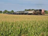 CP 650 gets a shove from none other than former SP 264, now UP 6310, as it passes through WSS Lobo. Albeit nose in, the rarity makes up for orientation