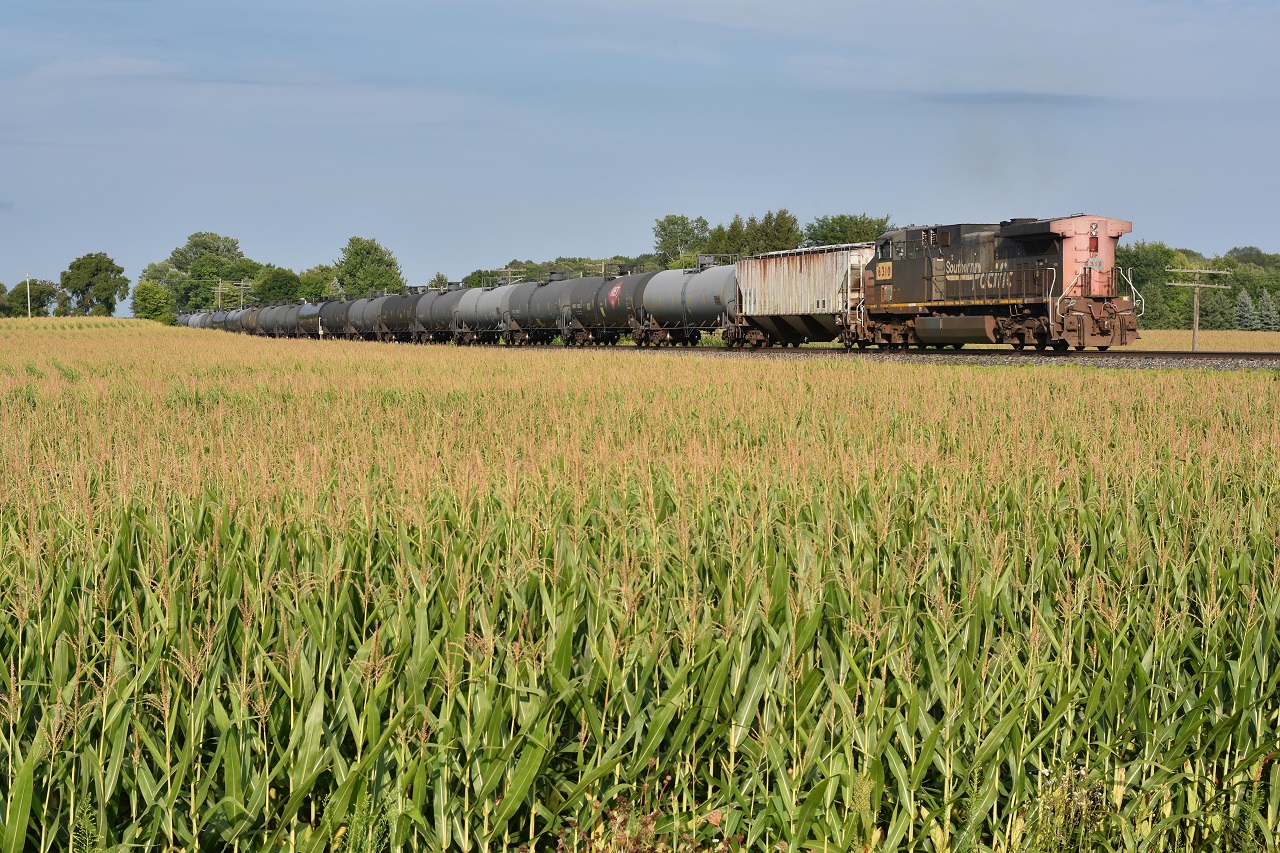 CP 650 gets a shove from none other than former SP 264, now UP 6310, as it passes through WSS Lobo. Albeit nose in, the rarity makes up for orientation