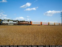 Fall is here and the colors are showing all around.  Even on the trains.  CP Military Tribute unit #7023 leads CP Script heritage unit #7013 on train #235 as it rolls through the Essex County country side near Puce, Ontario on October 7, 2020.