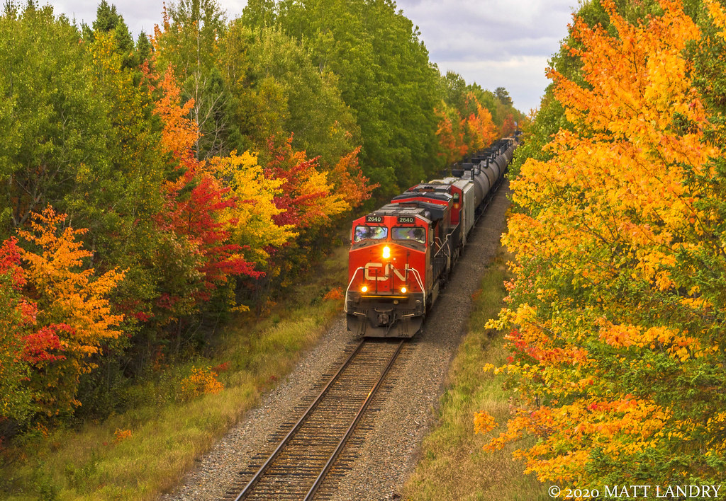 CN 2640 leads train 406 as they approach Petitcodiac, New Brunswick passing through some vibrant Fall colors. This year, Fall started about a week earlier than it normally does. Because of this, the colorful season stayed longer than normal, but most of the vibrant colors had died off earlier in the season.
