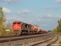 CN X319 comes by the station sign at Regis, with CN 8807 and CN 5733 hauling windmill tower parts headed for the states.