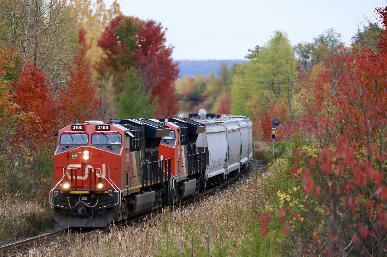While the lighting wasn't ideal, the time window for getting trains nose lit here is very short on a good day. Thankfully the autumn colours here made up for the lack of sun. Unfortunately the cedar trees are rapidly taking over the shot here near the tracks, and it may soon be gone. Here CN 394 is making good time as it heads east to meet train 435 at Stewartown. The area between Milton and Georgetown always puts on a good colour show this time of year.