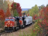 While the lighting wasn't ideal, the time window for getting trains nose lit here is very short on a good day. Thankfully the autumn colours here made up for the lack of sun. Unfortunately the cedar trees are rapidly taking over the shot here near the tracks, and it may soon be gone. Here CN 394 is making good time as it heads east to meet train 435 at Stewartown. The area between Milton and Georgetown always puts on a good colour show this time of year. 